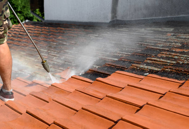 Best Roof Pressure Washing  in Wrightsville, PA